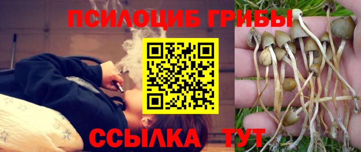 Галлюциногенные грибы GOLDEN TEACHER  Вход с VPN  Раменское 