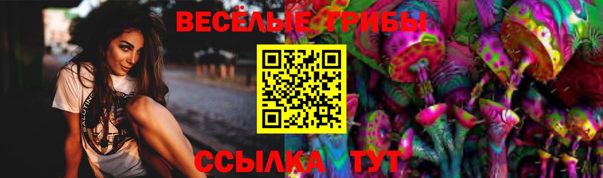 Псилоцибиновые грибы MAGIC MUSHROOMS Раменское
